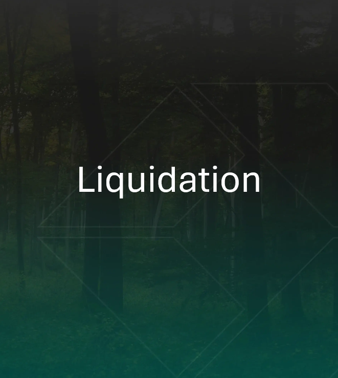 Liquidation